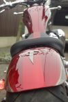 rear sight